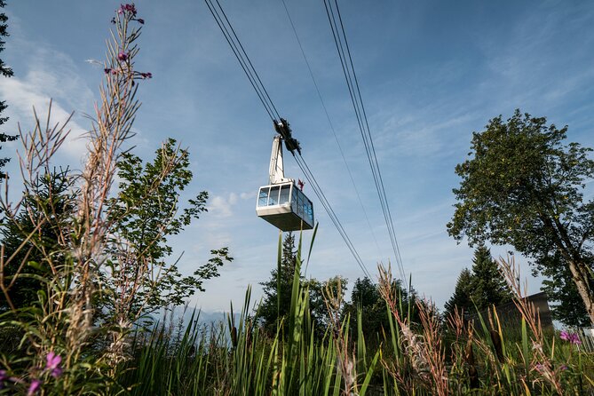 2-Day Mt Rigi Tour from Zurich Including Mineral Baths and Lake Lucerne Cruise - Return to Zurich: staying on the timing