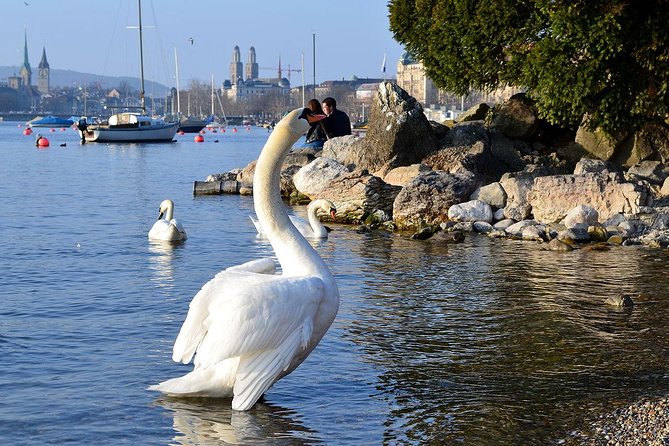 3 in 1: Zurich Walking Tour - Cruise on the Lake - Cable Car Ride to Felsenegg - Who This Tour Works Best For