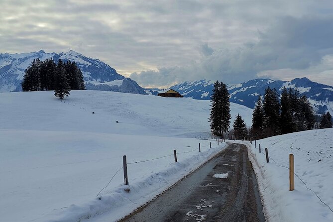 All Inclusive Rhine Falls and Appenzell Private Day Tour from Zurich - Guide quality: Marc’s communication and the day’s pacing