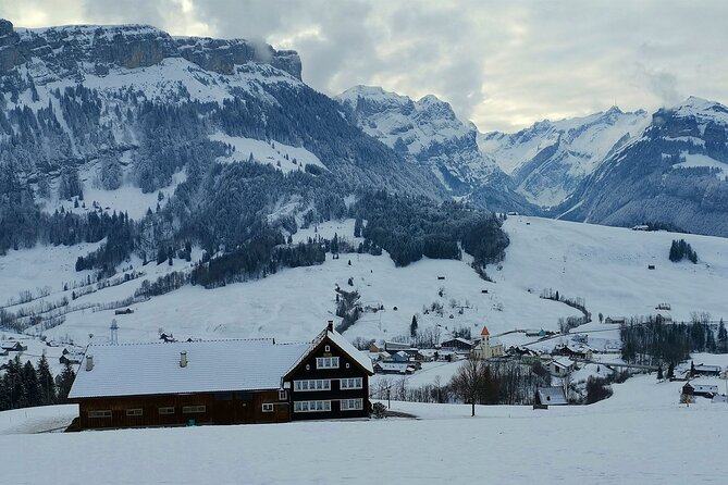 All Inclusive Rhine Falls and Appenzell Private Day Tour from Zurich - Rhine Falls in one hour: getting the power without the stress