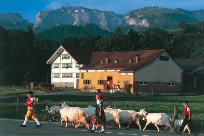 Appenzell Alps Day Trip from Zurich – Farm Life & Cheese Tasting - Stein Farm Stop: Fresh Milk First, Then the Day Has a Theme