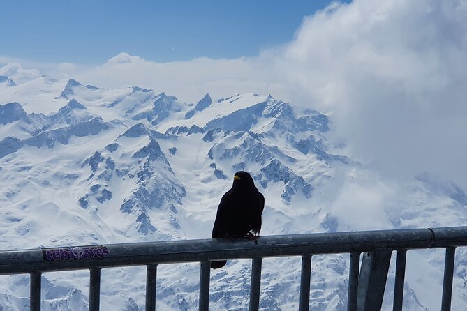 Attraction Ticket: Mt. Titlis by Train and Cableway from Lucerne - Who this trip suits best (and who should reconsider)