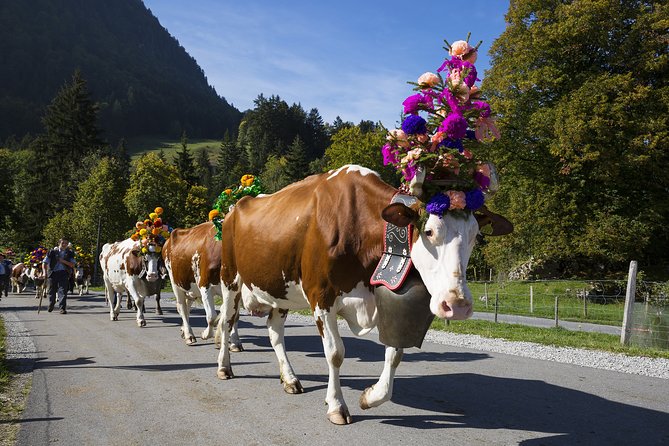 Berne the Capital and Cheese paradise Emmental (Private Tour) - Price and value: what $790.84 per person buys you