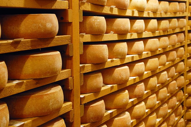 Berne the Capital and Cheese paradise Emmental (Private Tour) - Practical tips so the day feels easy