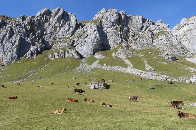 Best of the Uri Alps: A fjord-like lake, glorious peaks and sustainable tourism - Why the Uri Alps feel like a reset from Lucerne