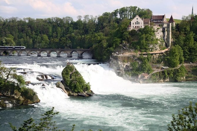 Black Forest and Rhine Falls Day Trip from Zurich - Key Points Before You Go