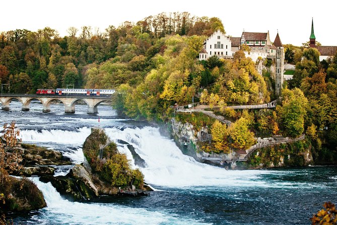 Black Forest and Rhine Falls Day Trip from Zurich - The Drive Back Through Spruce Forest and Back Into Switzerland