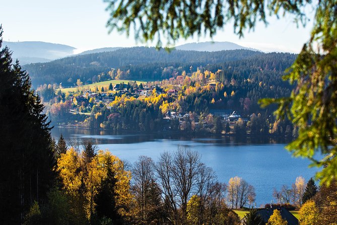Black Forest and Rhine Falls Day Trip from Zurich - Rhine Falls: Europe’s Largest Waterfall and Why It’s Worth the Stop