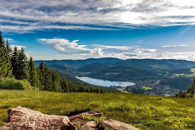 Black Forest and Rhine Falls Day Trip from Zurich - Comfort, Language, and Timing: Small Details That Affect Your Day