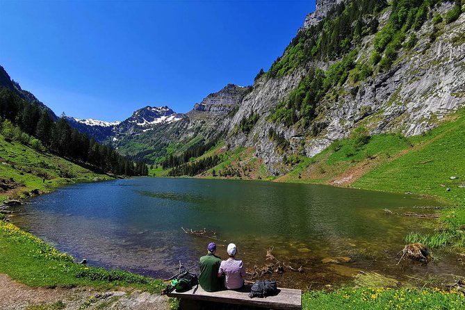 Breathtaking Private Hike with a Local Swiss Expert (1 day trip) - Key Highlights You’ll Actually Feel During the Day