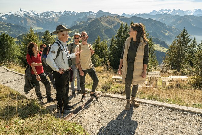 CabriO World's first Open Top Cable Car Ticket to Mt Stanserhorn - Getting down: plan your descent before you reach the peak