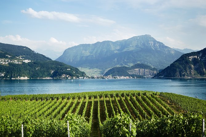 Chocolate, Cheese and Wine Tour in Luzern region - Cheese Dairy or Factory Visit: Learn the Logic Behind Flavor
