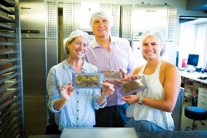 Chocolate Tasting with Lake Trip and City Tour: The Ultimate Lucerne Experience - Price and value: what $405.26 buys in Lucerne