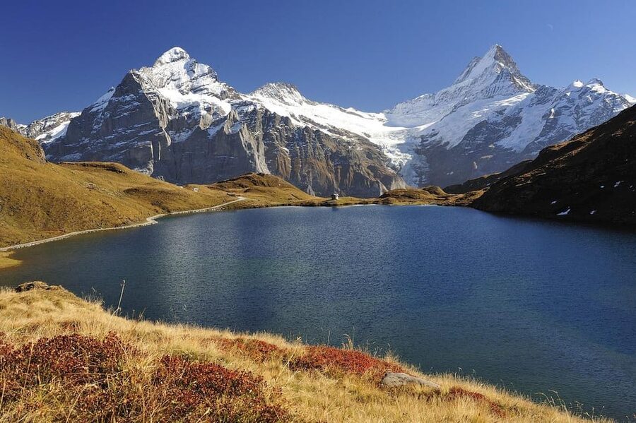 Day trip from Lucerne to interlaken and Grindelwald - Lucerne to Interlaken and Grindelwald in 6 Hours: What You’re Really Buying
