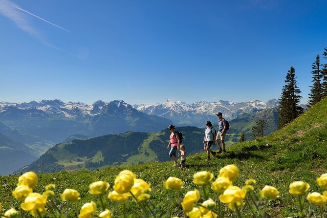 Day Trip to Lucerne and Mount Stanserhorn Including CabriO Cable Car Ride - Price and value check for $191.59