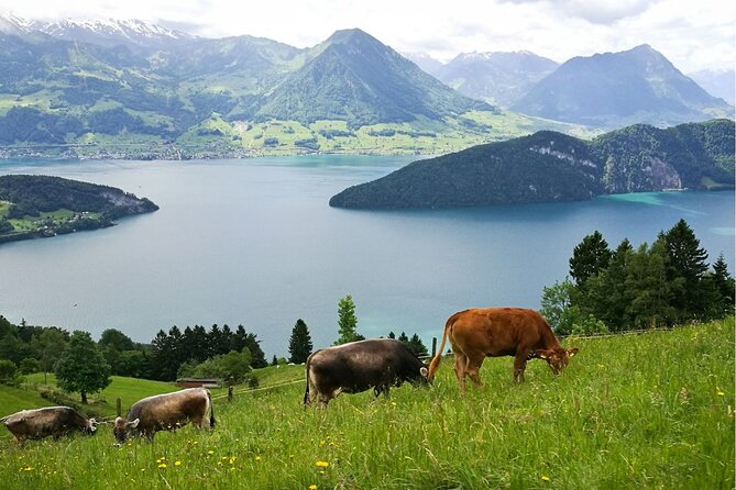 Day Trip to Lucerne and Mt. Rigi with a local from Zurich - Lucerne drive-in: photo stops, 13-lake views, and the Old Town rhythm