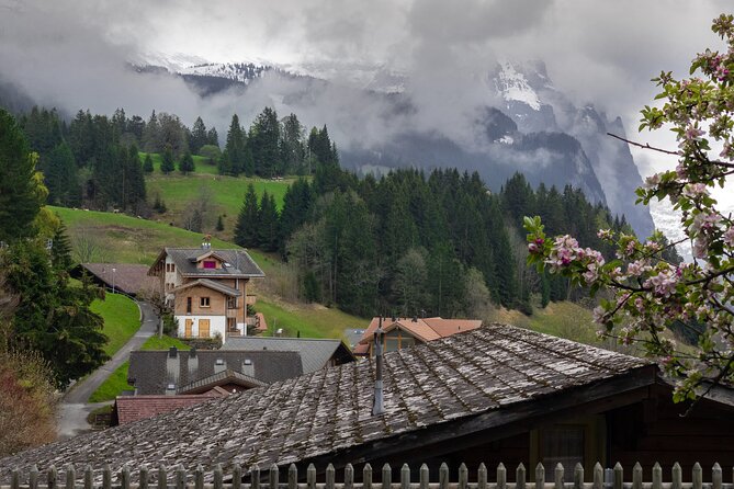 Daytrip to Swiss Villages: Interlaken Grindelwald & Lauterbrunnen - Price and value: is $158.13 per person a fair deal?