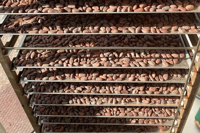 Ethical Chocolate Tour - Stop 2 in Wollishofen: a bean-to-bar factory viewpoint and more tasting
