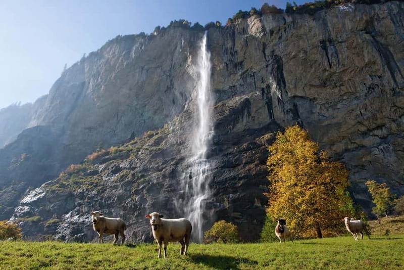 From Lucerne: Day Trip to Grindelwald & Lauterbrunnen - Interlaken: a quick orientation stop, not a full second day
