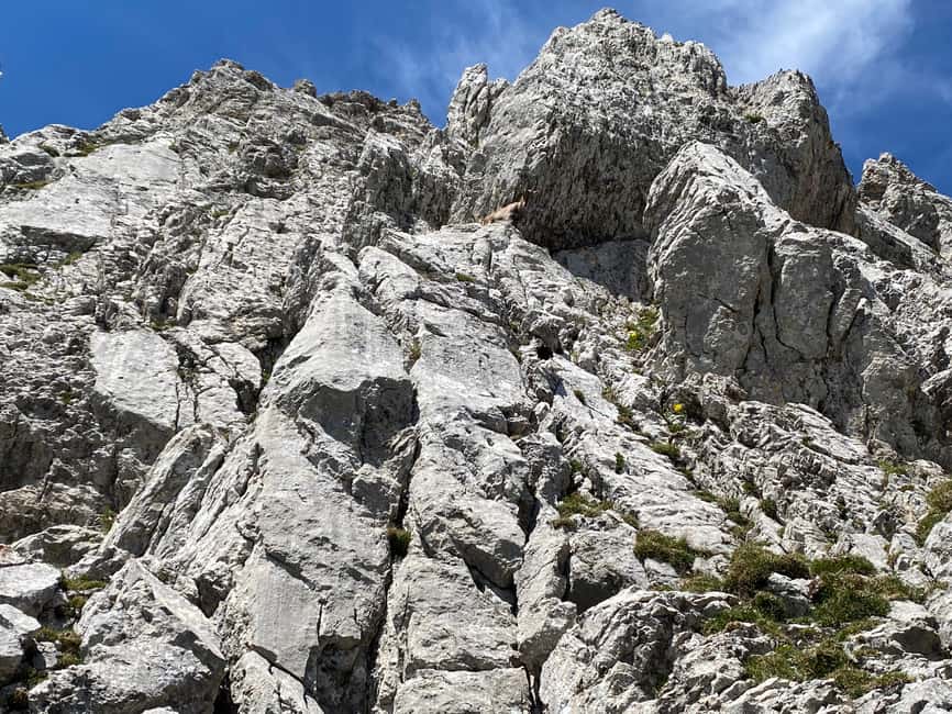 From Lucerne: Mt. Pilatus and Lake Lucerne Small-Group Tour - What You’ll Do at the Summit: Restaurant Time or a Walk to Better Panoramas