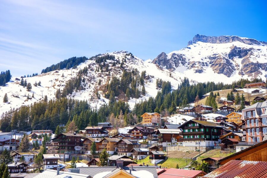 From Lucerne: Private Day Tour to Interlaken and Grindelwald - Key highlights worth planning around