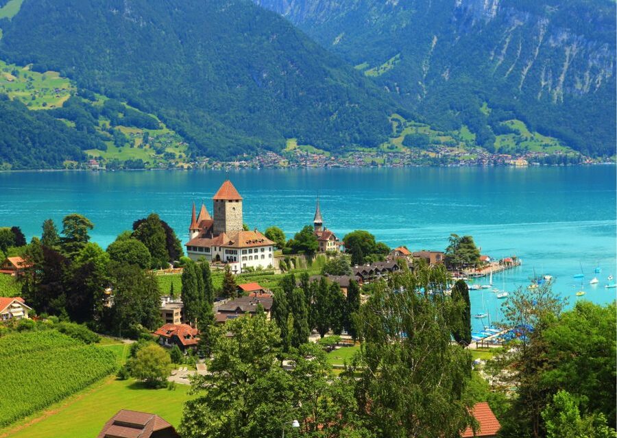 From Lucerne: Private Day Tour to Interlaken and Grindelwald - What You Get for the Price of $317 per Person