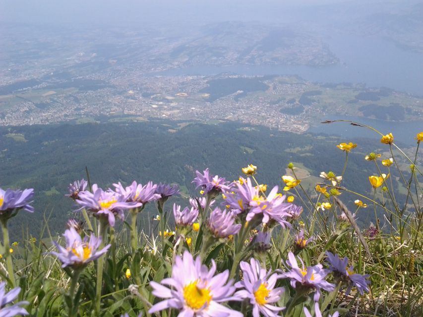 From Luzern:Small Group Tour Golden Roundtrip to Mt. Pilatus - What you do in off-season (November–May): cableway first, lake cruise later