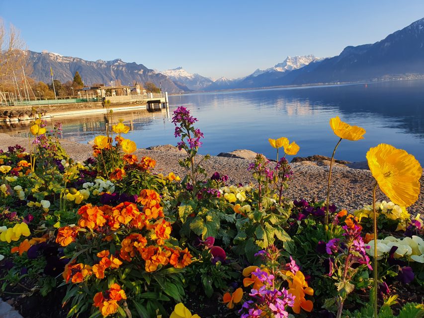 From Zurich: 7-Day Tour to Geneva with Tickets and Lodging - Day 6: Chillon Castle, Lausanne’s Olympic Park, and Geneva’s city walk