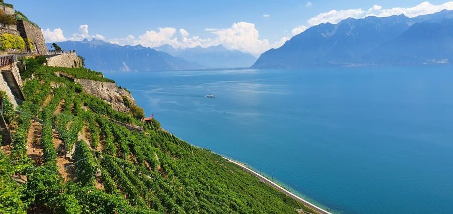 From Zurich: 7-Day Tour to Geneva with Tickets and Lodging - Day 5: Montreux free day on the lakefront Riviera