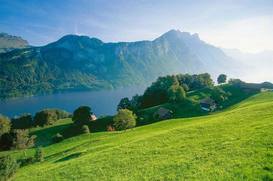 From Zurich: Bus Day Trip to Heidiland and Liechtenstein - Key points to know before you go