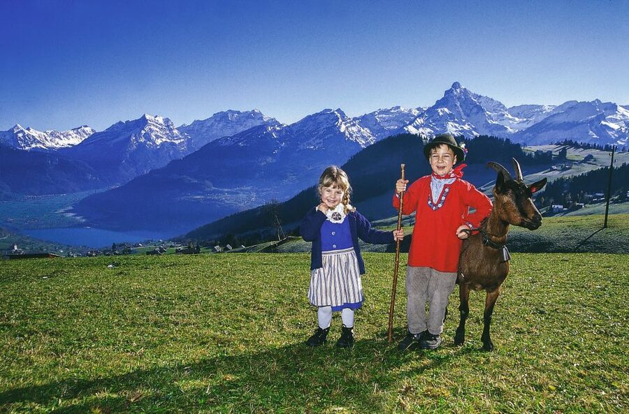 From Zurich: Bus Day Trip to Heidiland and Liechtenstein - Ricken Pass: the Alps’ best photo windows from the bus