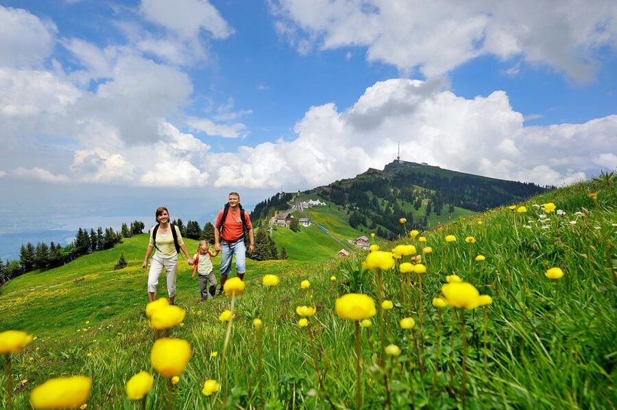 From Zurich: Day Trip to Rigi and Lake Lucerne - Seasonality and Cable Car Changes: Small Notes That Matter