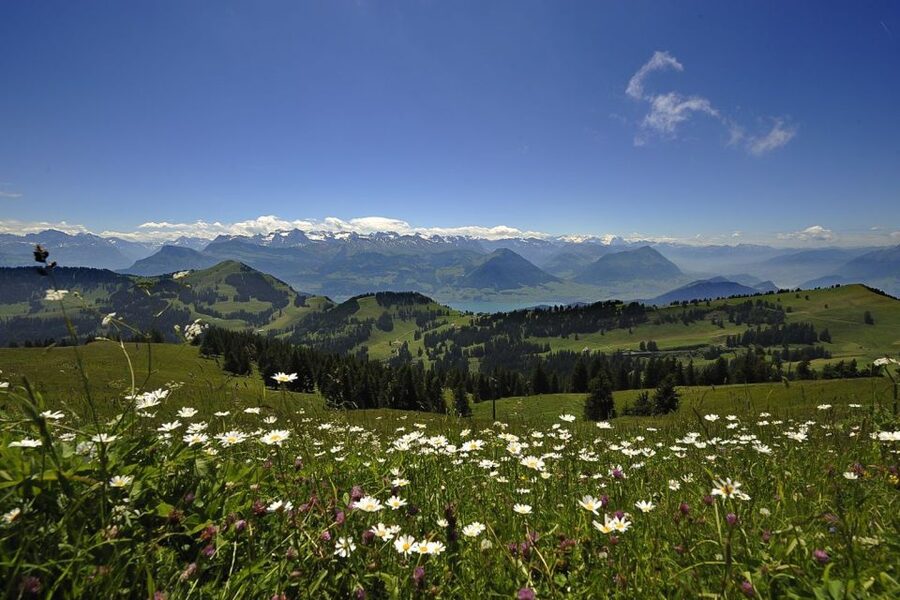 From Zurich: Day Trip to Rigi and Lake Lucerne - Historic Cogwheel Funicular to Vitznau: Transit That Feels Like a Ride