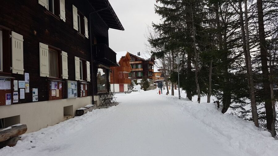 From Zürich: Exclusive Private Tour to Mt. Schilthorn - Mürren on the return: where the day calms down