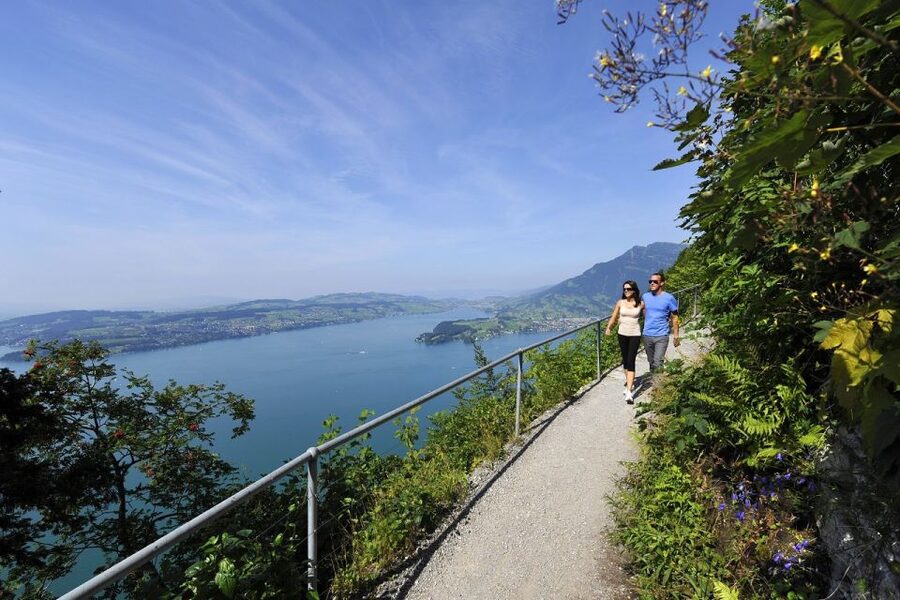 From Zurich: Funicular to Mt. Bürgenstock & Lake Lucerne - Who This Tour Is Best For