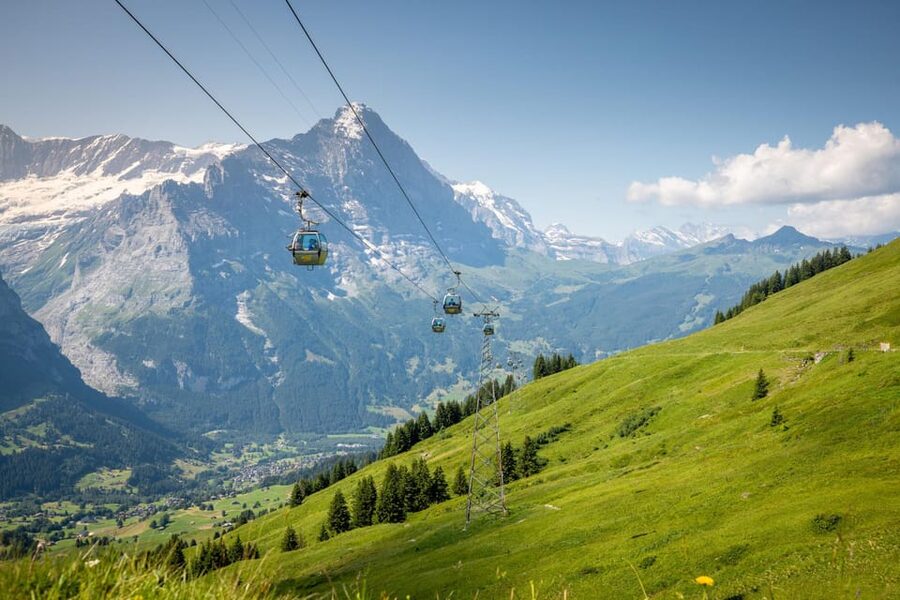 From Zurich: Grindelwald First Cable Car & Interlaken - Zurich to Grindelwald by Bus: the Pace, the Views, the Reality Check