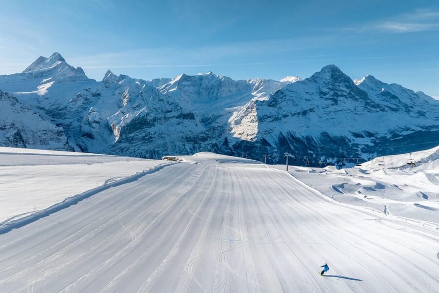 From Zurich: Grindelwald First Cable Car & Interlaken - Who This Tour Is For (and Who Should Skip)