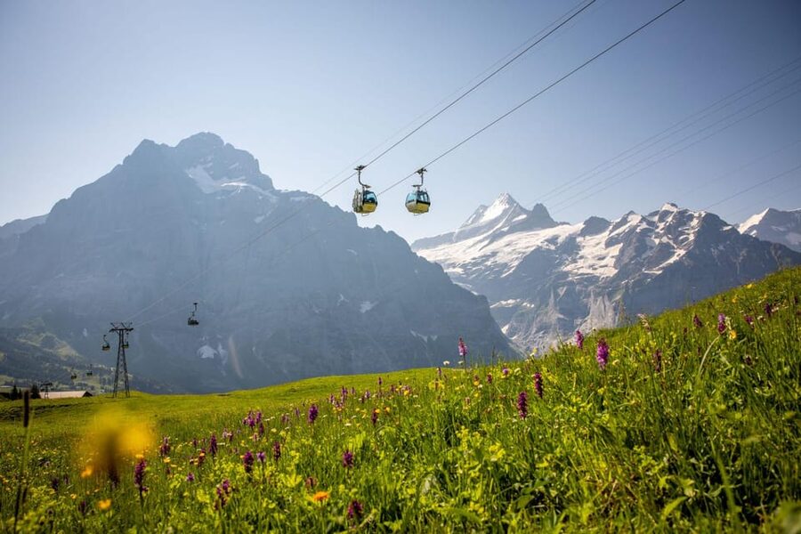 From Zurich: Grindelwald First Cable Car & Interlaken - FAQ