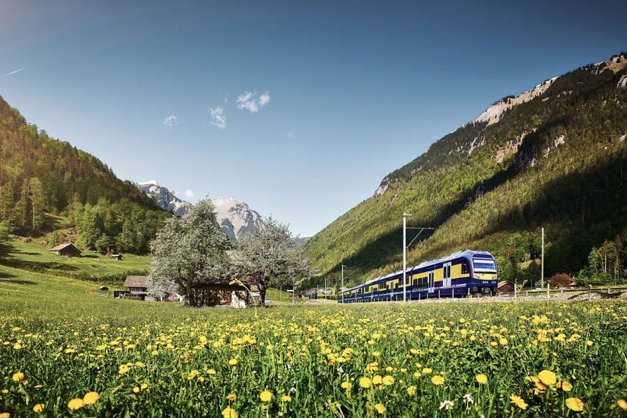From Zurich: Grindelwald First Mountain Adventure Day Trip - From Zurich to the Bernese Oberland: a coach day that actually makes sense