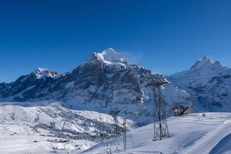 From Zurich: Grindelwald, Lauterbrunnen & Interlaken Tour - Grindelwald Free Time: Where You Choose Your Views