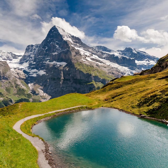 From Zurich: Interlaken and Grindelwald Private Day Tour - Price and Value: Is $233 Per Person Fair?