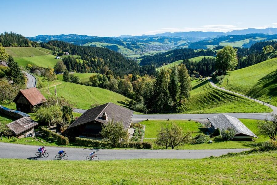 From Zurich/Lucerne: Berne Capital and Countryside Day-Trip - Emmental show dairy: “King’s Way” and cheese tasting by age