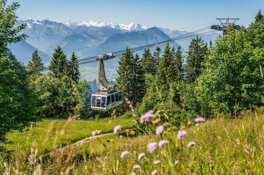 From Zurich: Mount Rigi and Lucerne Small-Group Day Trip - Weggis to Rigi Kaltbad: the aerial cable car moment