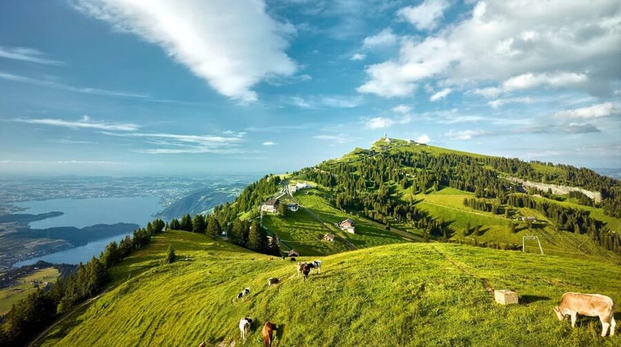 From Zurich: Mount Rigi and Lucerne Small-Group Day Trip - Should you book the Mount Rigi and Lucerne day trip?