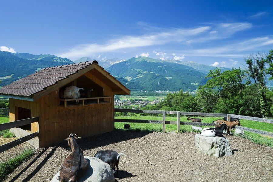 From Zurich: Private Trip to Liechtenstein and Heidiland - Vaduz Castle, St. Florin, and a passport stamp that feels real