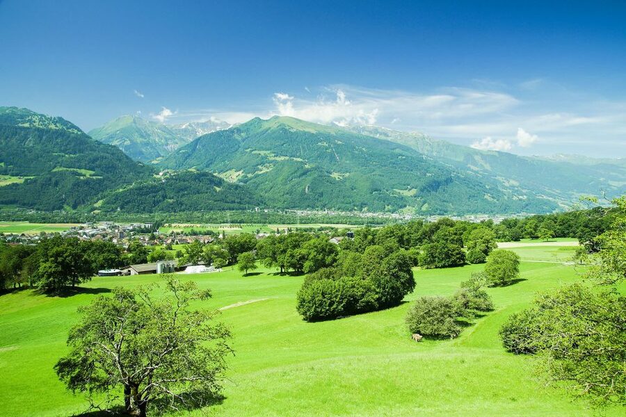 From Zurich: Private Trip to Liechtenstein and Heidiland - Guide quality and time balance: what to watch for before you book