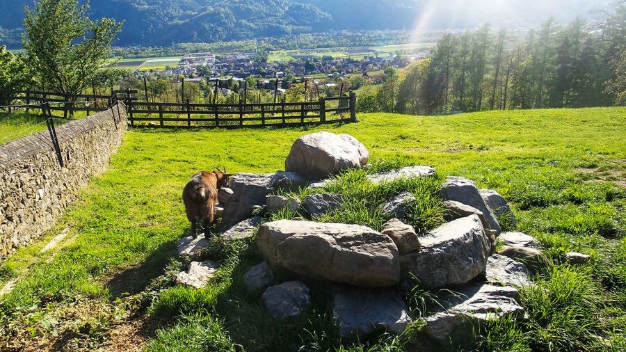 From Zurich: Private Trip to Liechtenstein and Heidiland - Zurich pickup, private pacing, and how the day actually runs