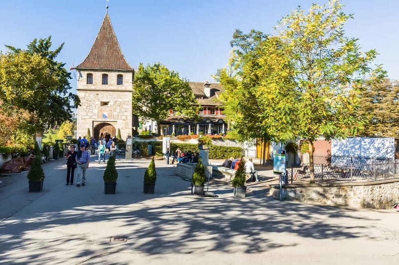 From Zurich: Rhine Falls Coach Tour - Who This Tour Fits Best (And Who Might Want Something Different)