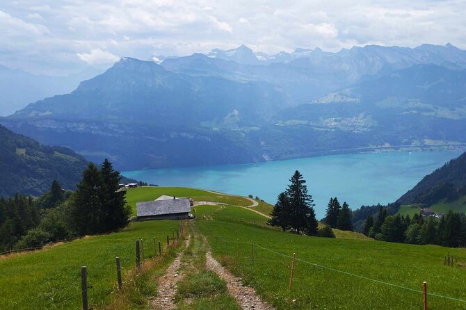 Full-Day Hiking Swiss Alps and Lake swim with Pick-up - The 3 to 4 hour hike: pacing, safety, and real options on the day