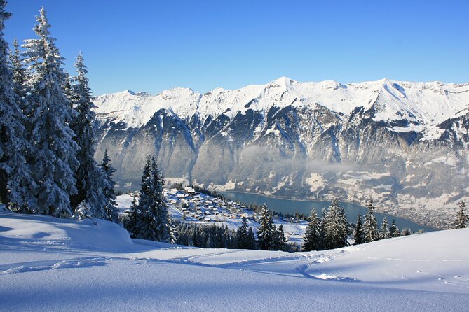 Grindelwald, Interlaken and Lauterbrunnen Day Trip from Lucerne - Value for Money: What You’re Really Paying For